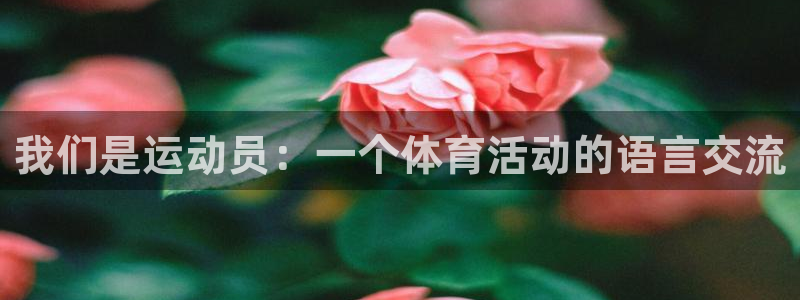 三亿体育登录