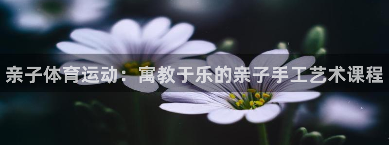 三亿体育网页版