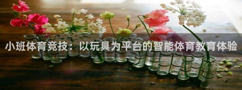 三亿体育登录