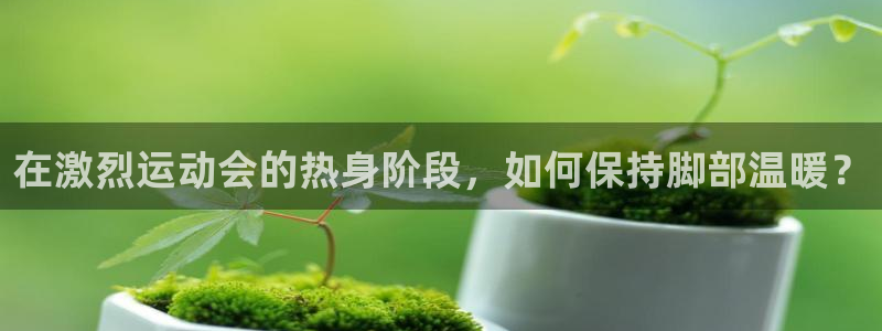三亿体育登录：在激烈运动会的热身阶段，如何保持脚部温暖？