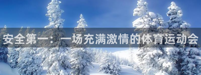 三亿体育网页版：安全第一：一场充满激情的体育运动会