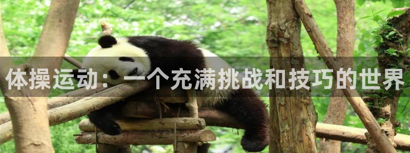 三亿体育登录：体操运动：一个充满挑战和技巧的世界