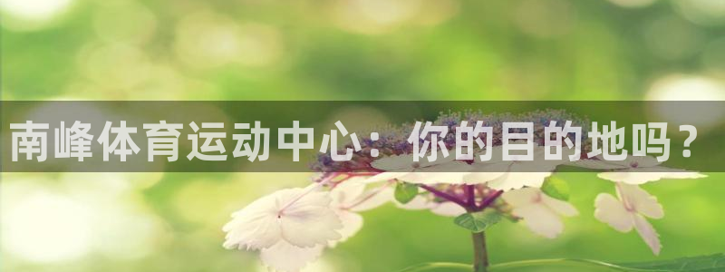 三亿体育：南峰体育运动中心：你的目的地吗？