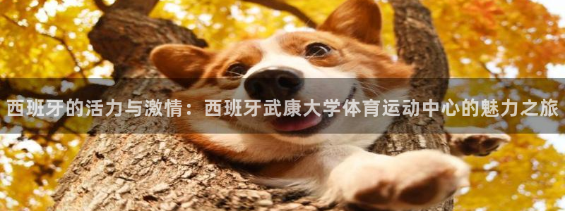 三亿体育：西班牙的活力与激情：西班牙武康大学体育运动中心的魅力之旅