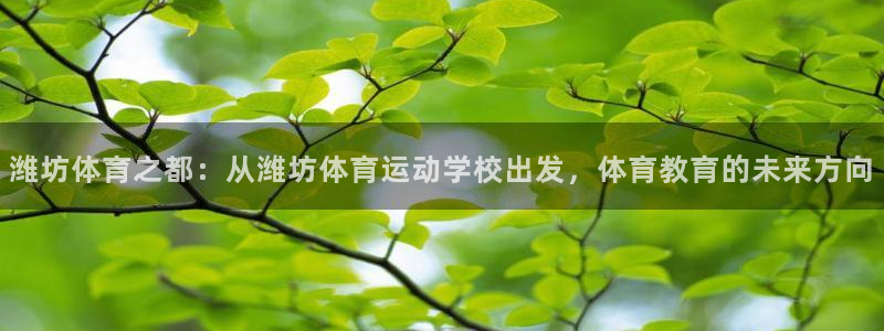 三亿体育：潍坊体育之都：从潍坊体育运动学校出发，体育教育的未来方向
