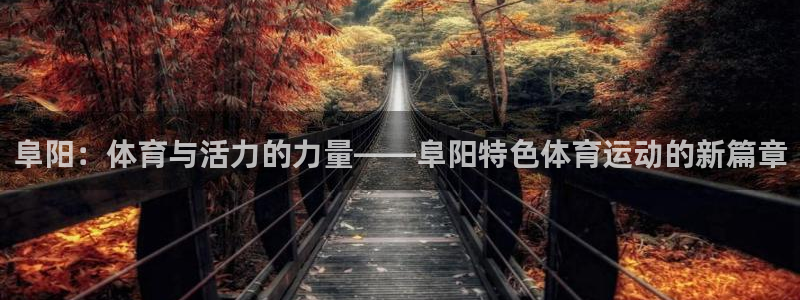 三亿体育：阜阳：体育与活力的力量——阜阳特色体育运动的新篇章