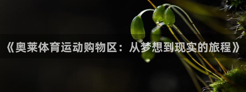 三亿体育：《奥莱体育运动购物区：从梦想到现实的旅程》